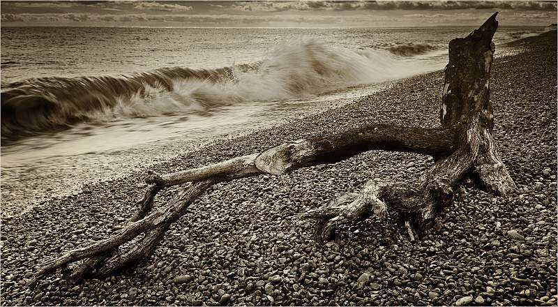 THE POWER OF NATURE.jpg